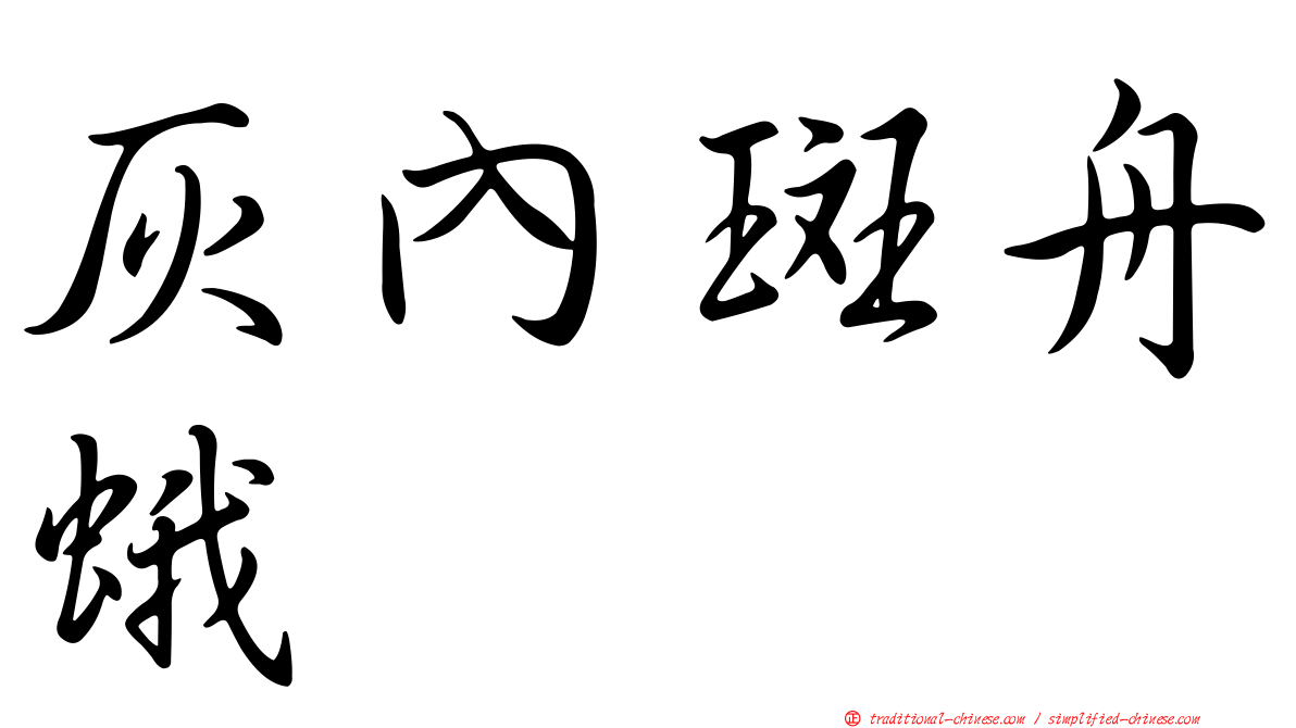 灰內斑舟蛾