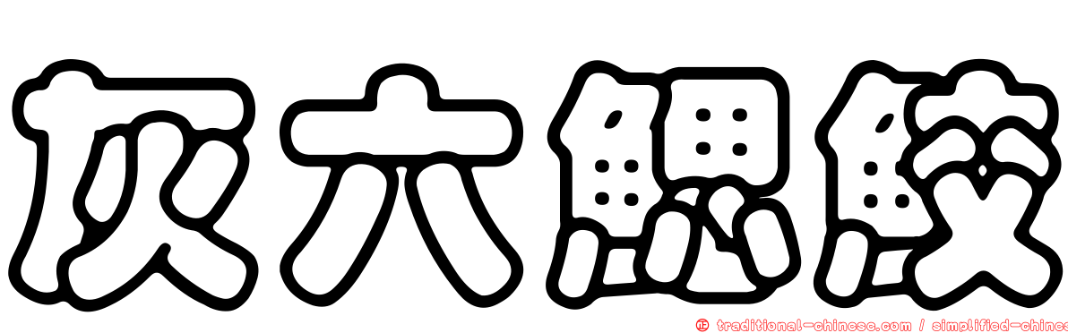 灰六鰓鮫
