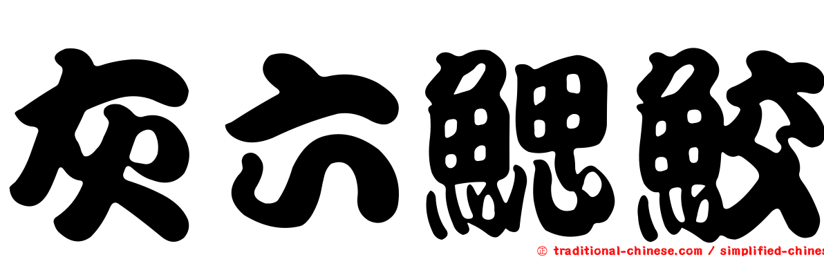 灰六鰓鮫