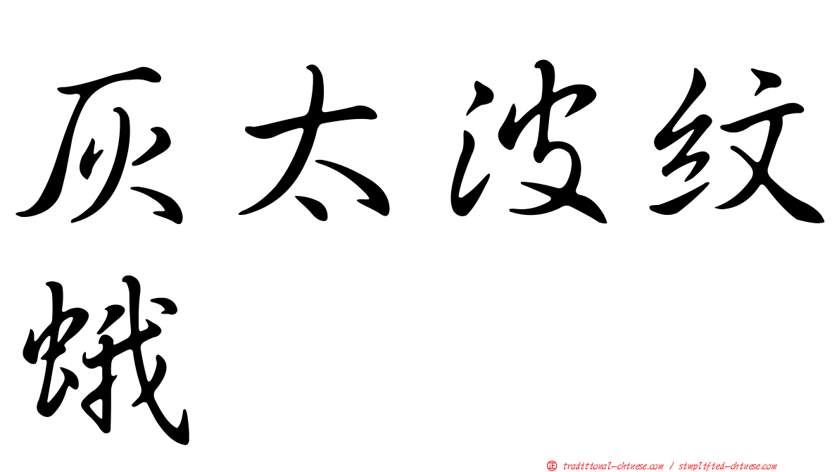 灰太波紋蛾