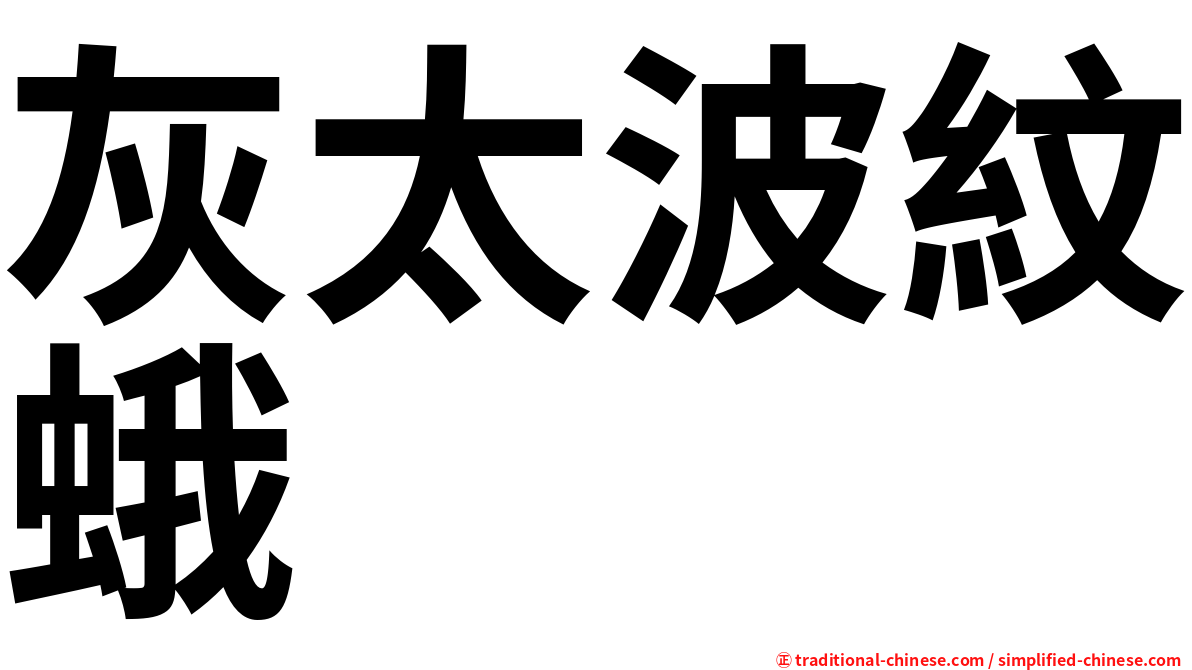 灰太波紋蛾