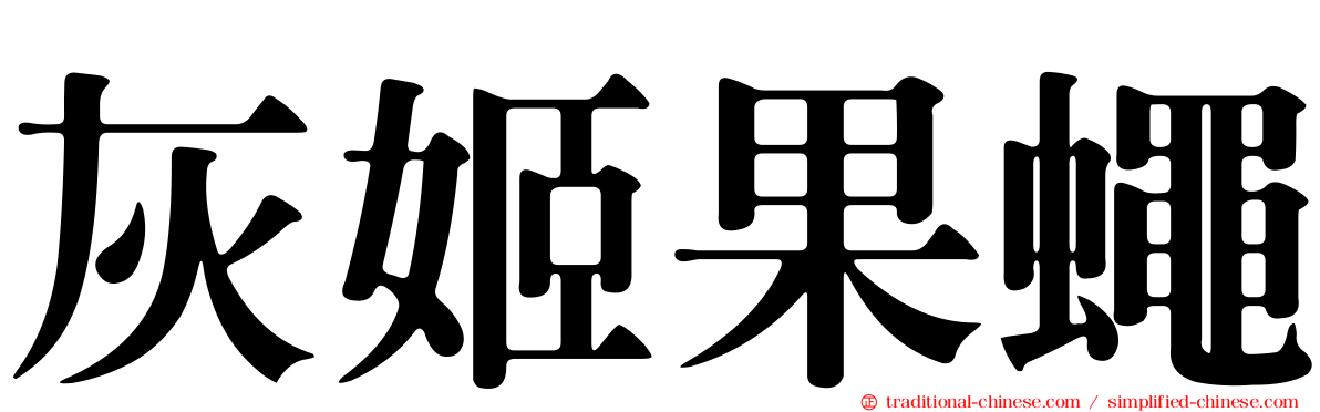灰姬果蠅