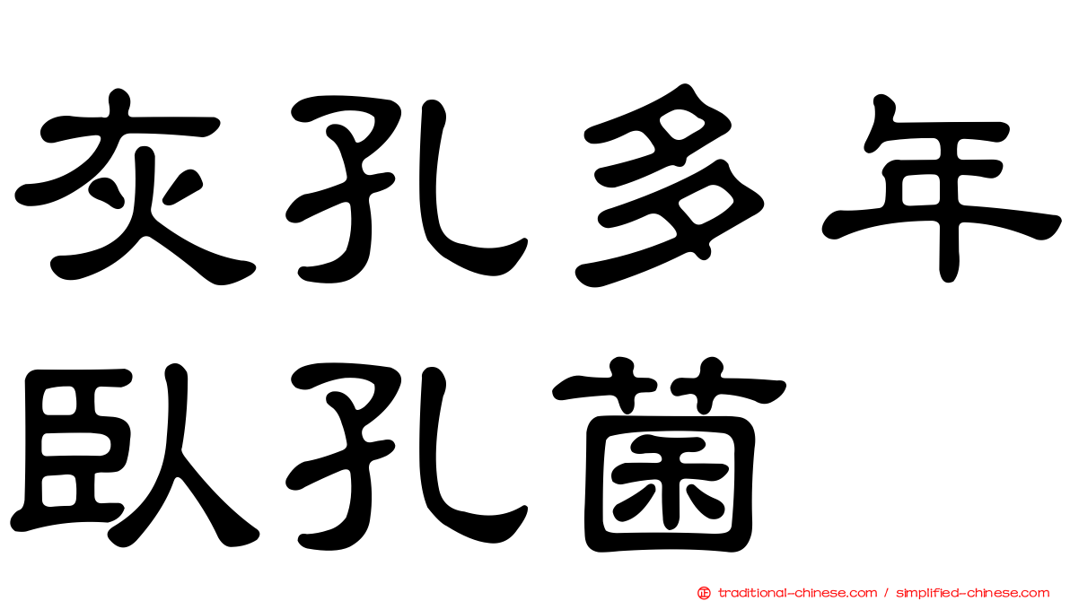 灰孔多年臥孔菌