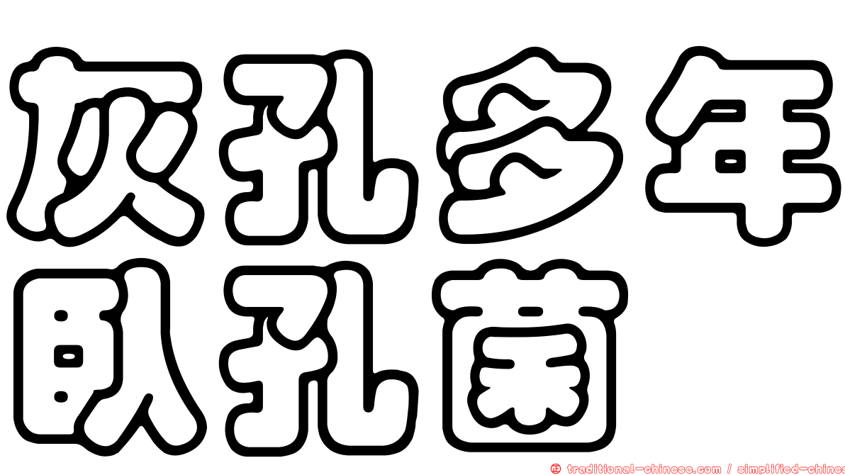 灰孔多年臥孔菌