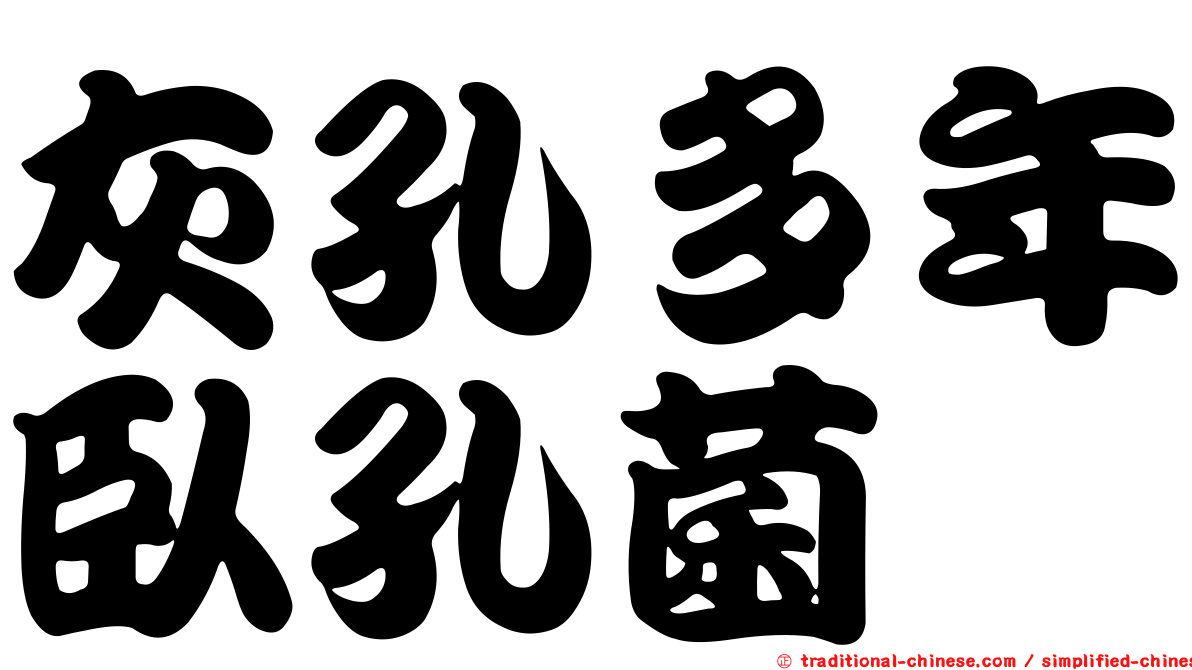 灰孔多年臥孔菌