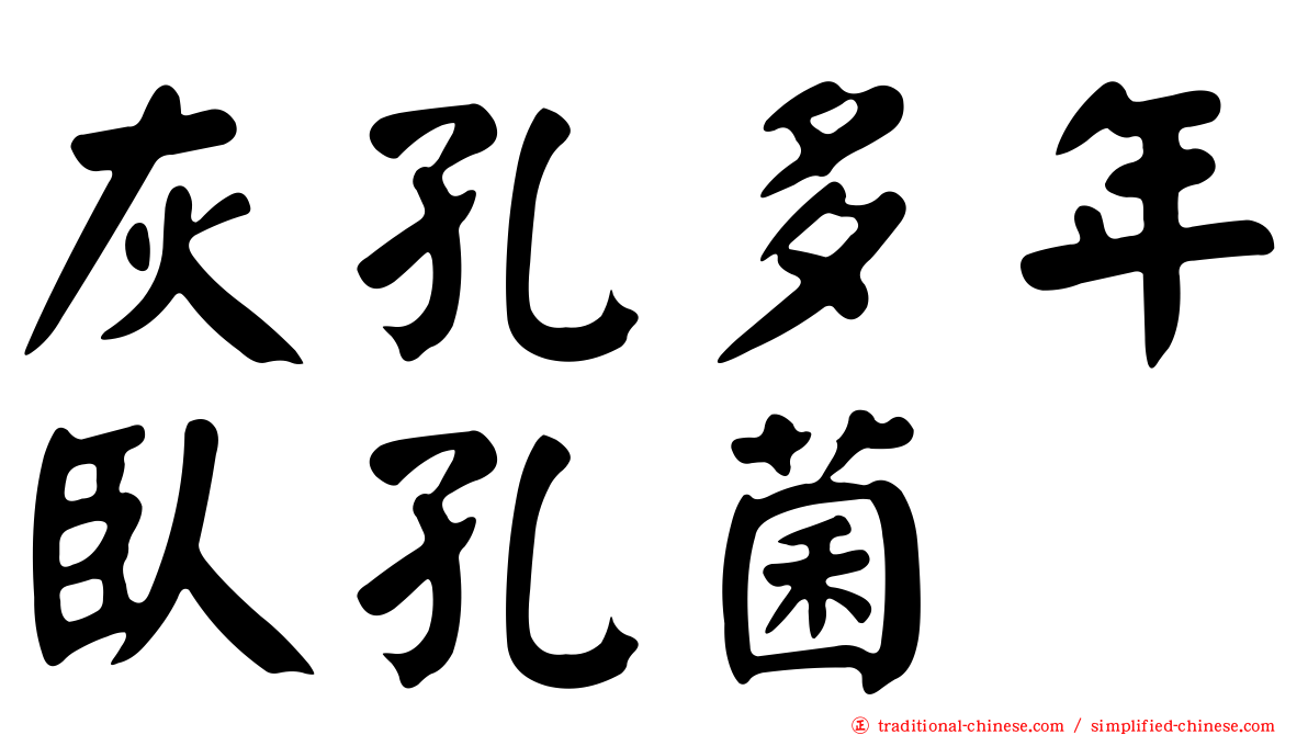 灰孔多年臥孔菌