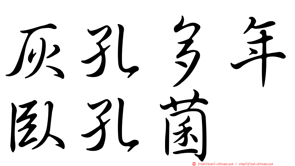 灰孔多年臥孔菌