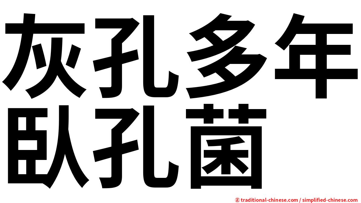 灰孔多年臥孔菌