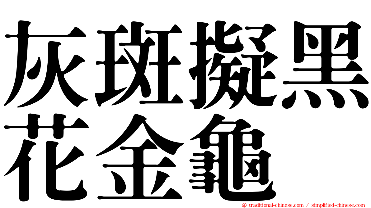 灰斑擬黑花金龜