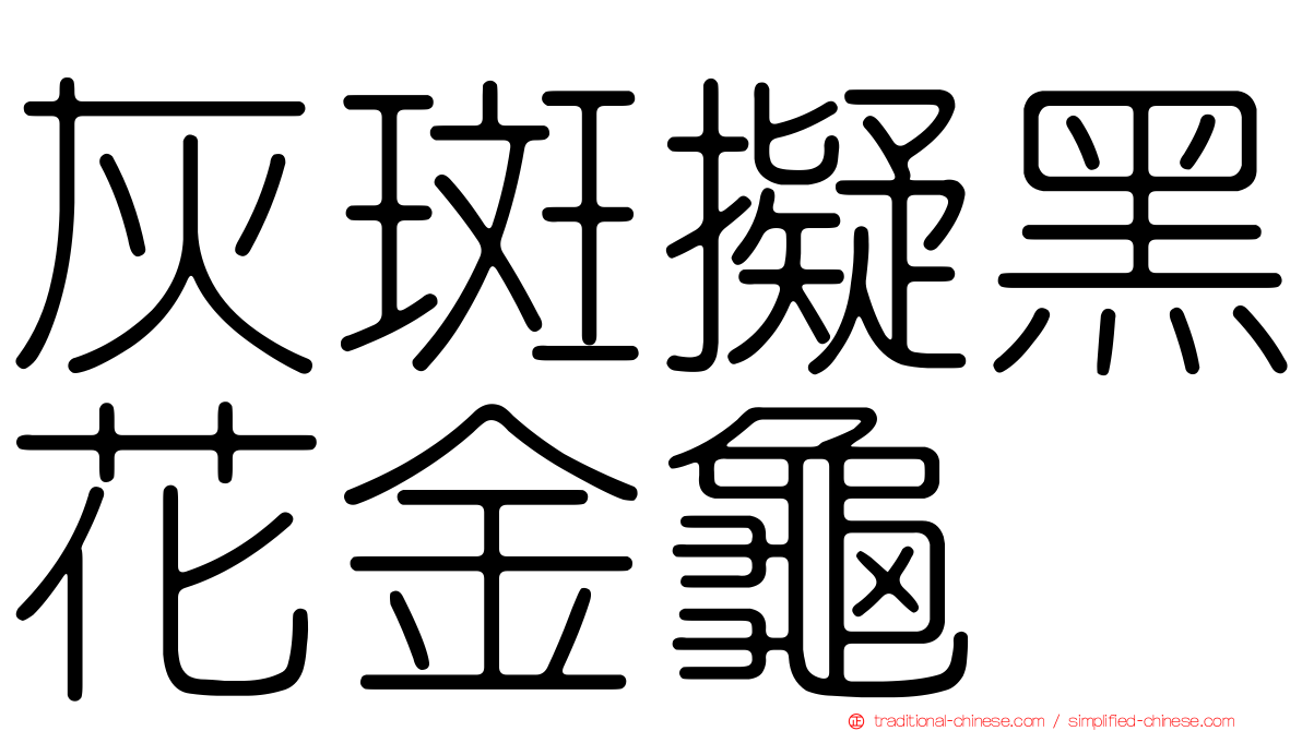 灰斑擬黑花金龜