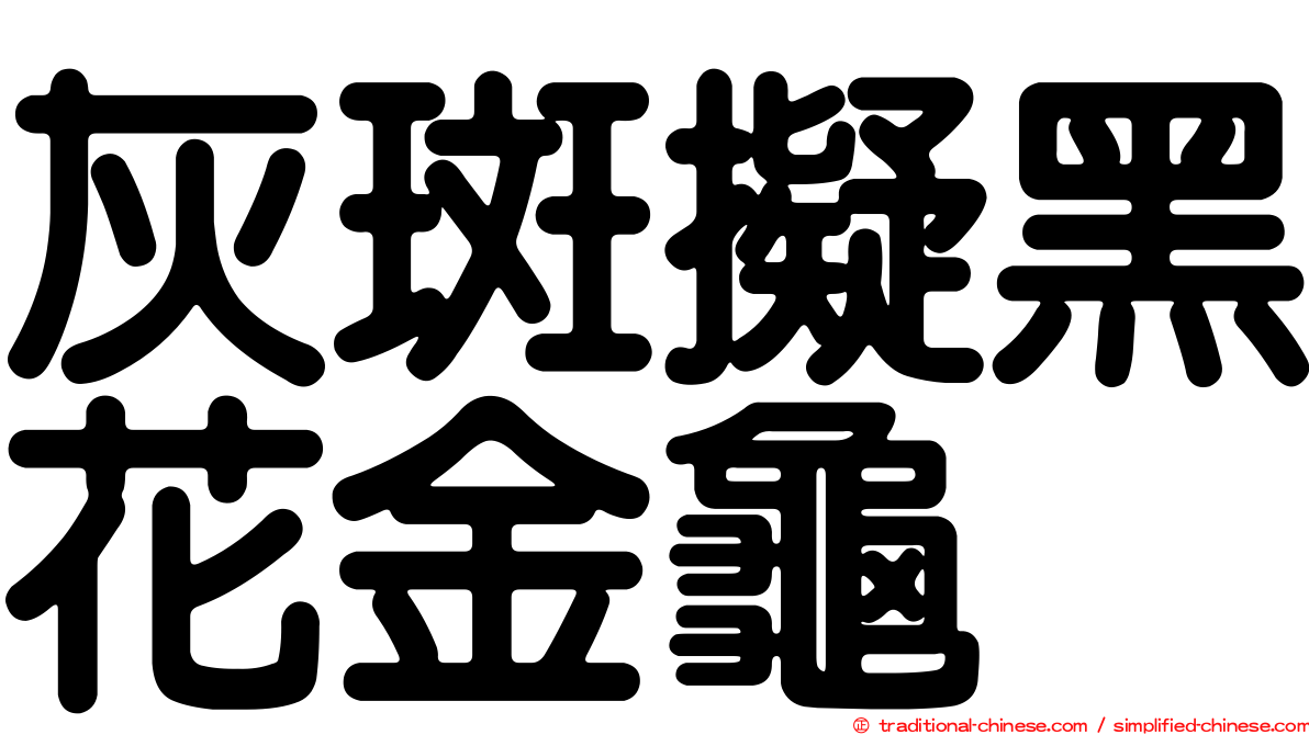 灰斑擬黑花金龜