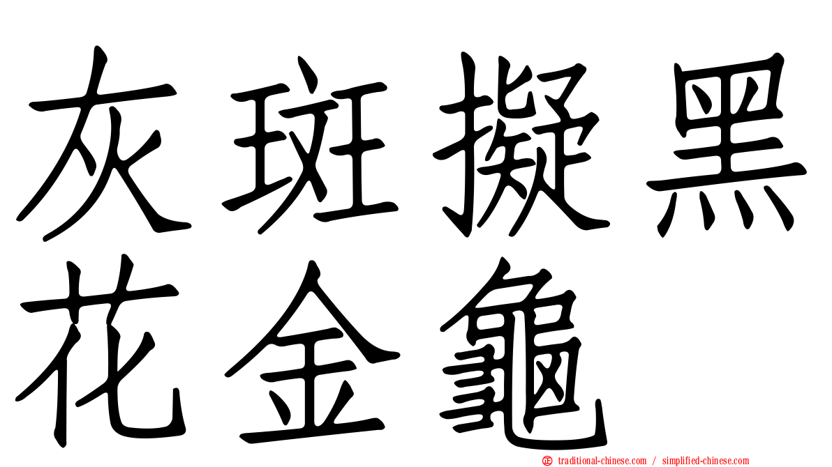 灰斑擬黑花金龜