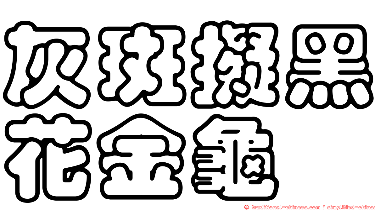 灰斑擬黑花金龜