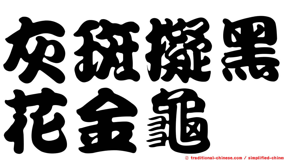灰斑擬黑花金龜