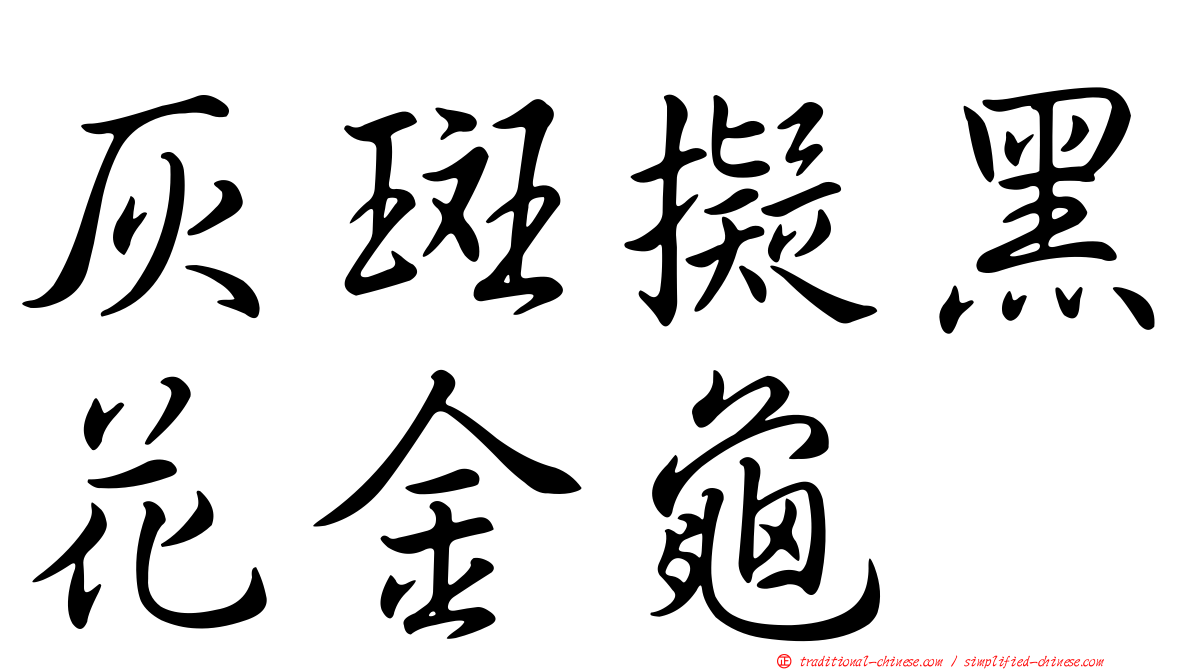 灰斑擬黑花金龜