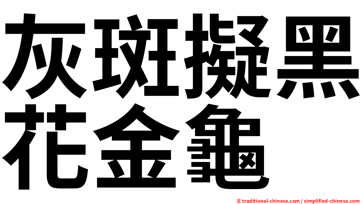 灰斑擬黑花金龜