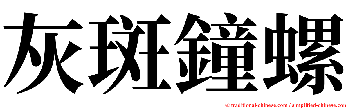 灰斑鐘螺 serif font