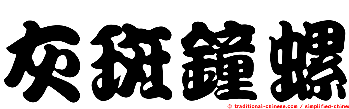 灰斑鐘螺
