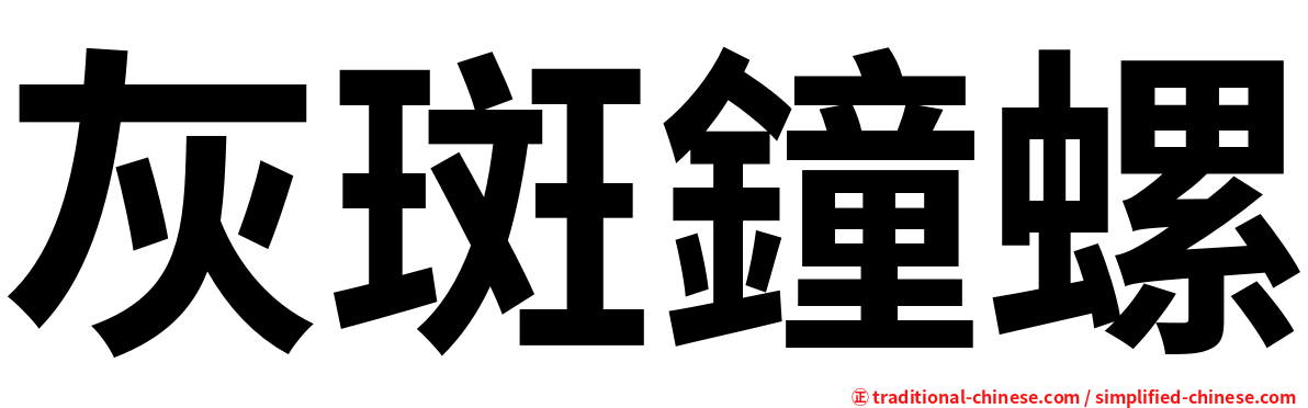 灰斑鐘螺