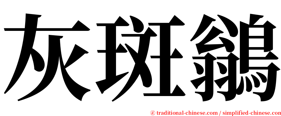 灰斑鶲 serif font