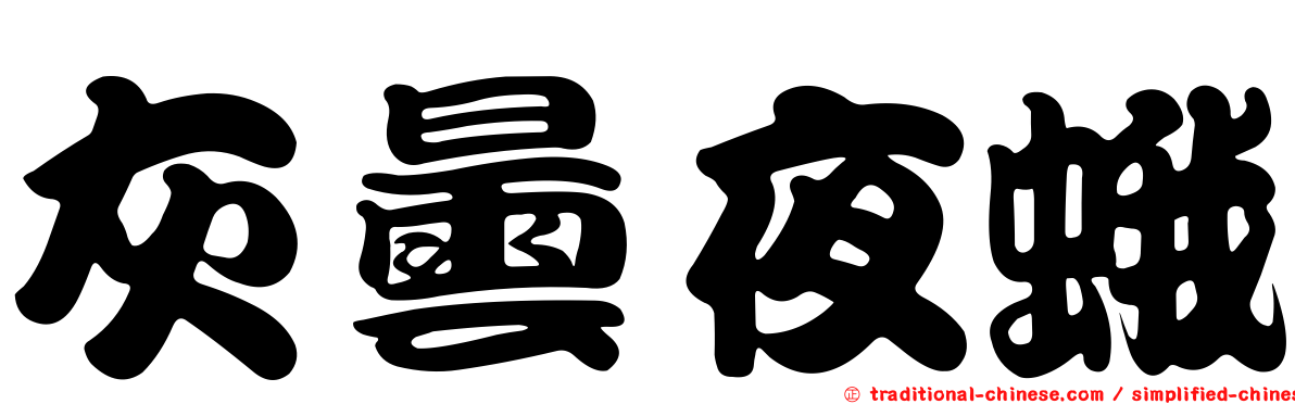 灰曇夜蛾