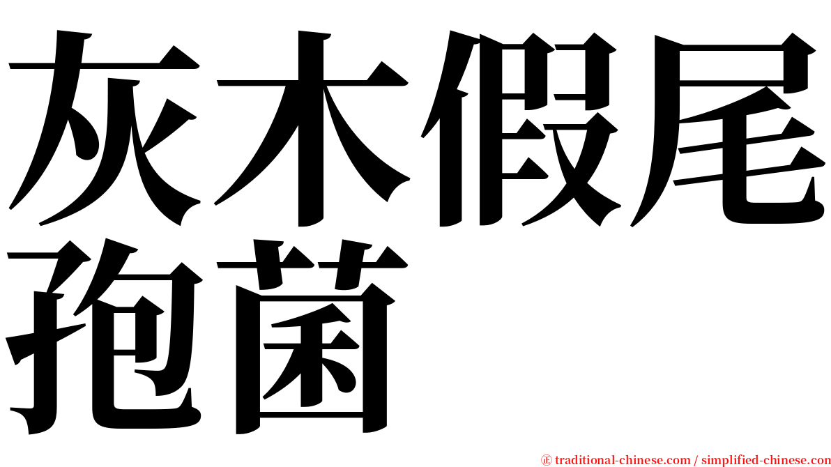 灰木假尾孢菌 serif font