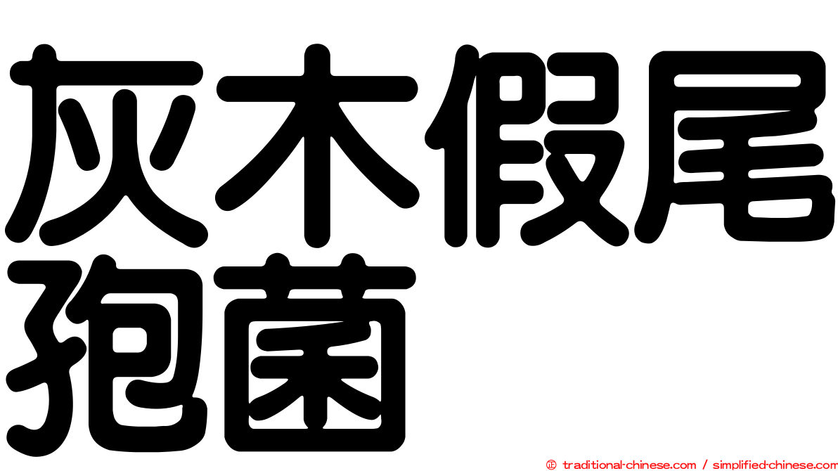 灰木假尾孢菌