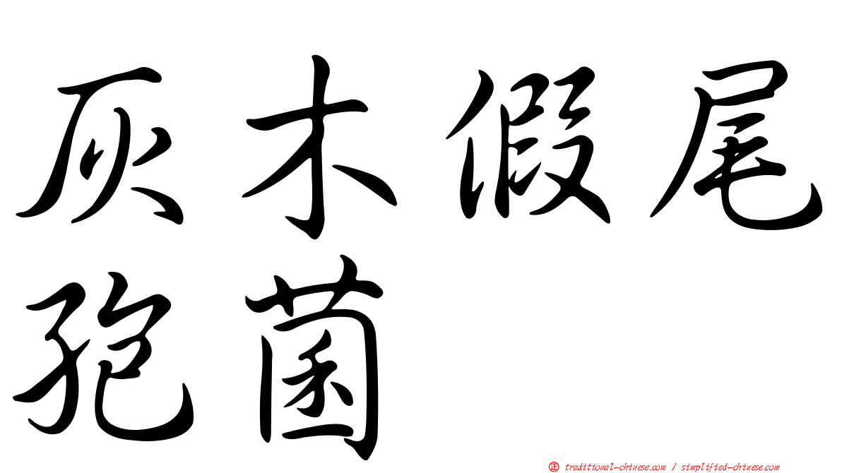 灰木假尾孢菌