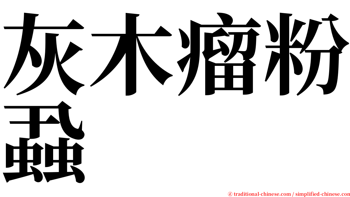 灰木瘤粉蝨 serif font