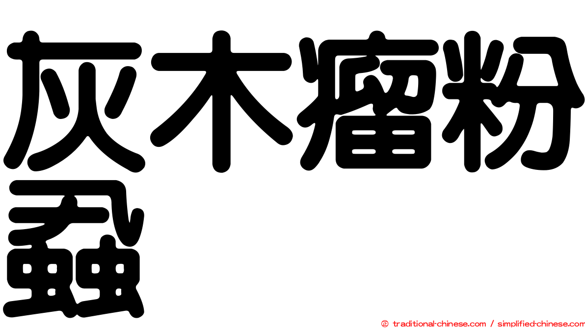 灰木瘤粉蝨
