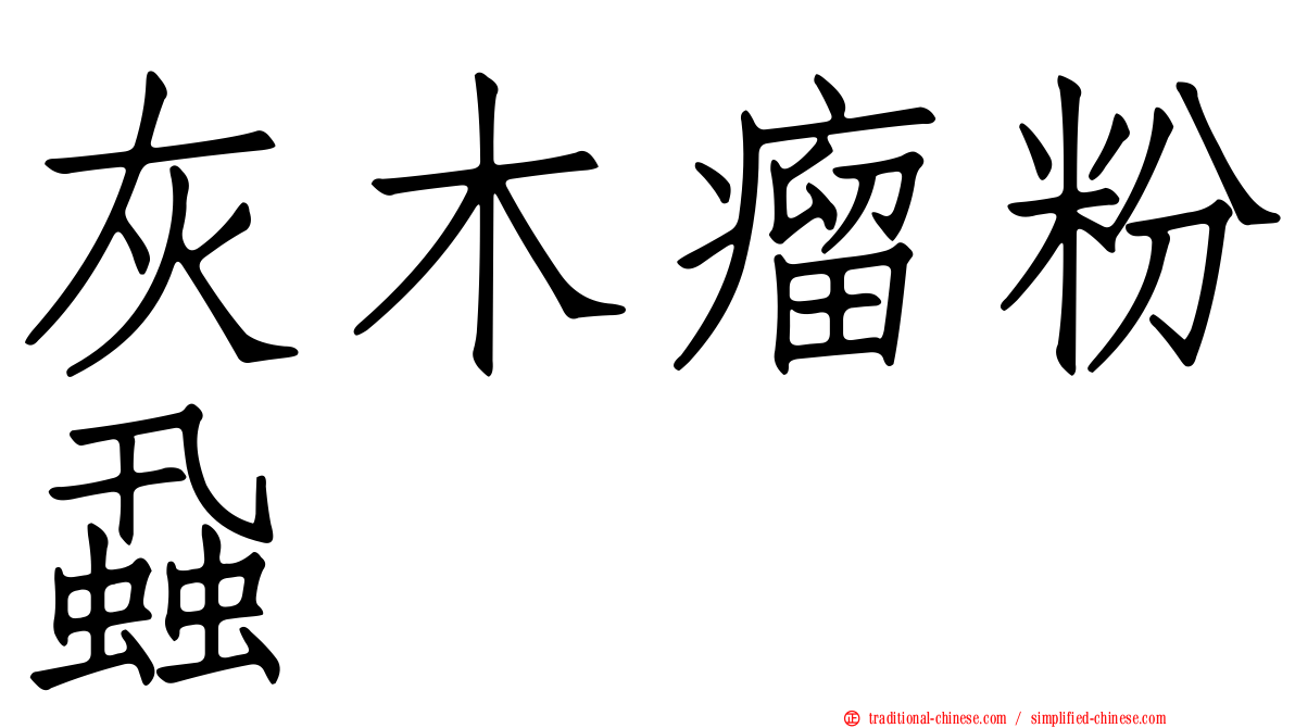 灰木瘤粉蝨