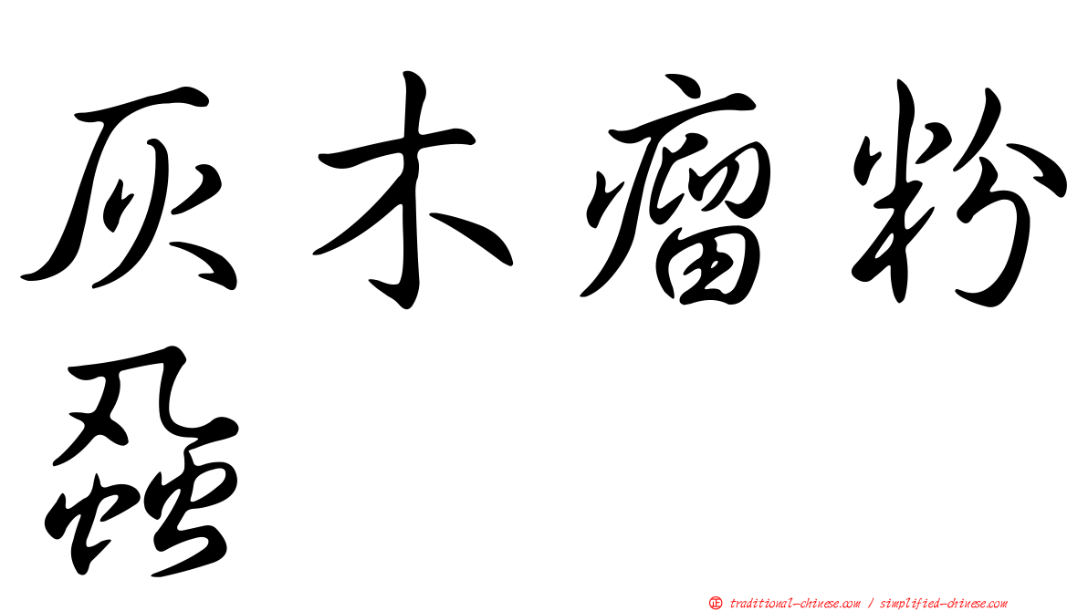 灰木瘤粉蝨