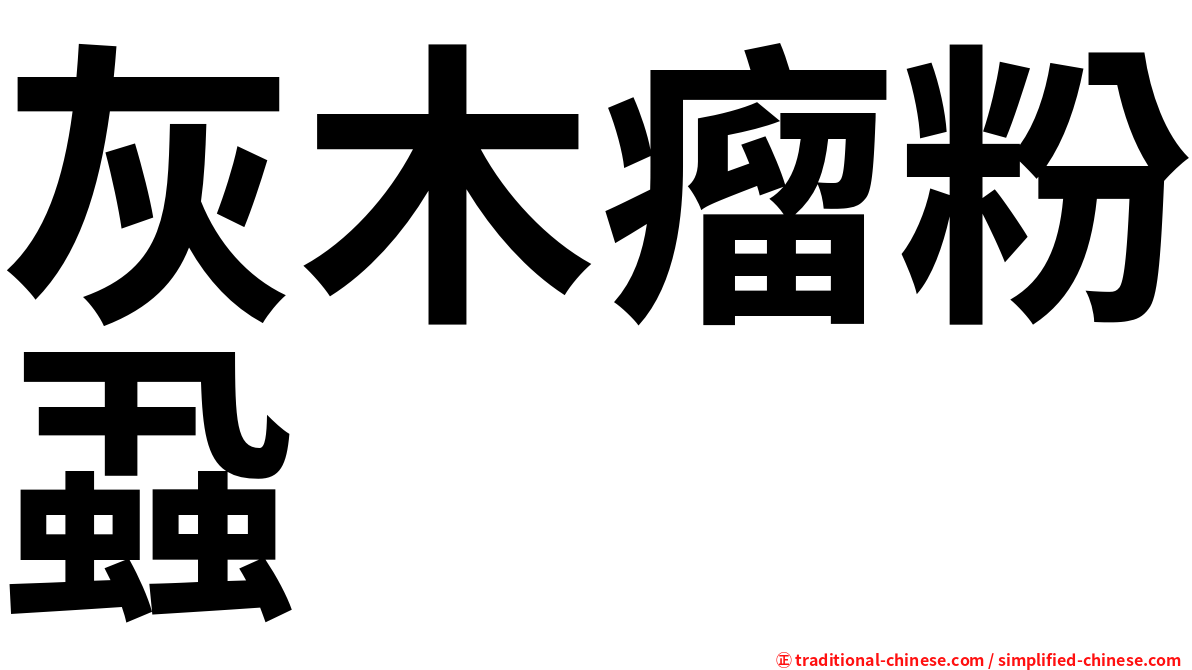 灰木瘤粉蝨