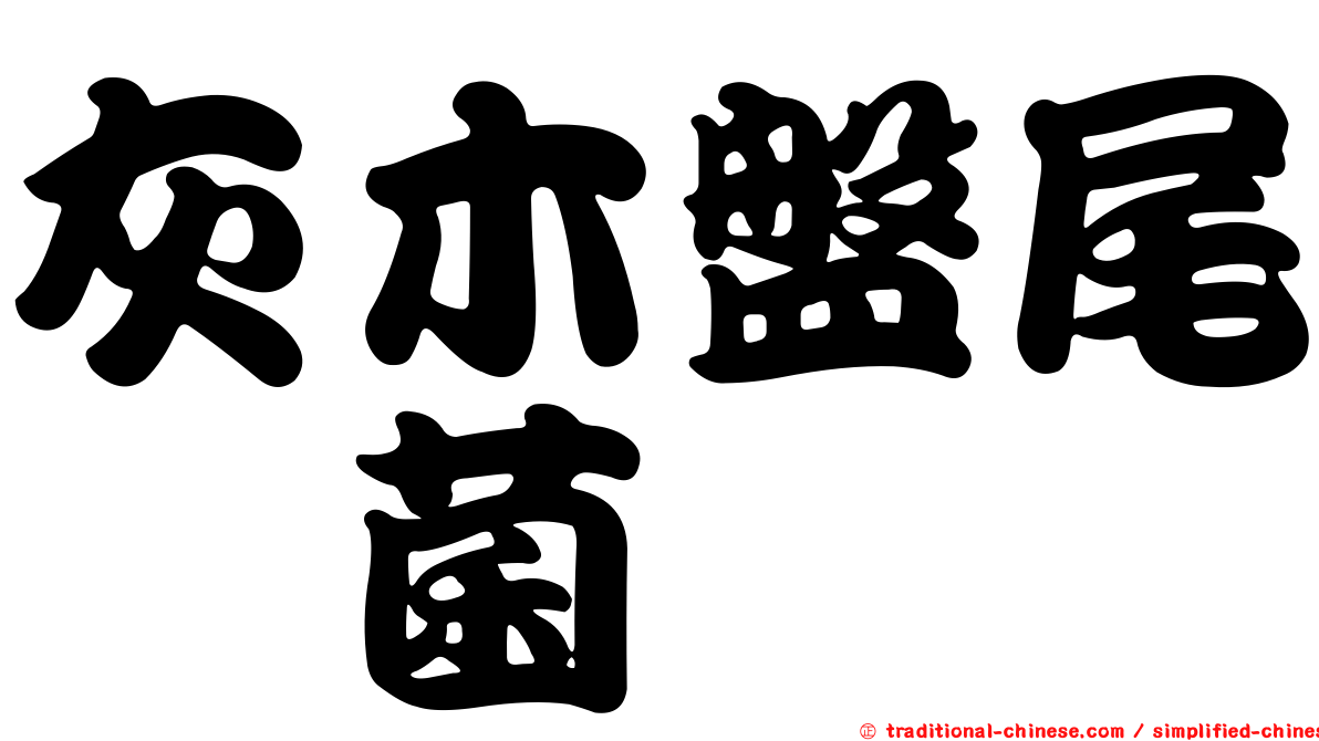 灰木盤尾孢菌
