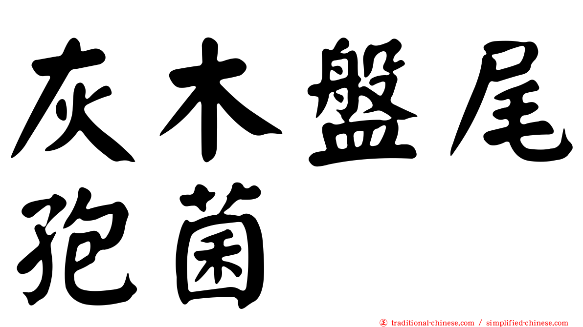灰木盤尾孢菌