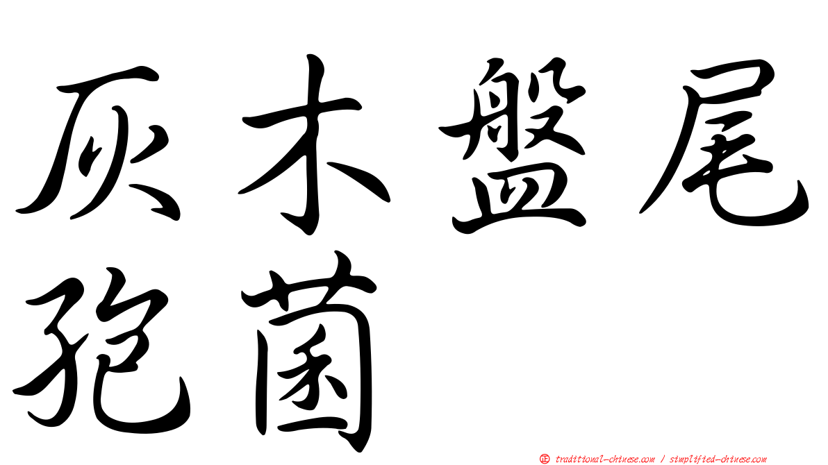 灰木盤尾孢菌
