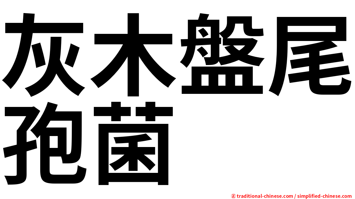 灰木盤尾孢菌