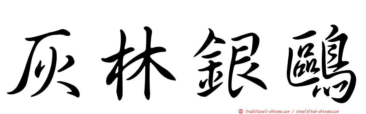 灰林銀鷗