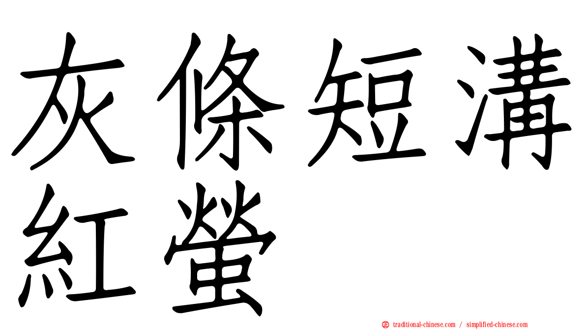 灰條短溝紅螢