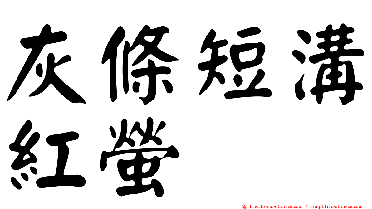 灰條短溝紅螢