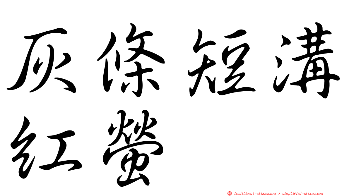 灰條短溝紅螢