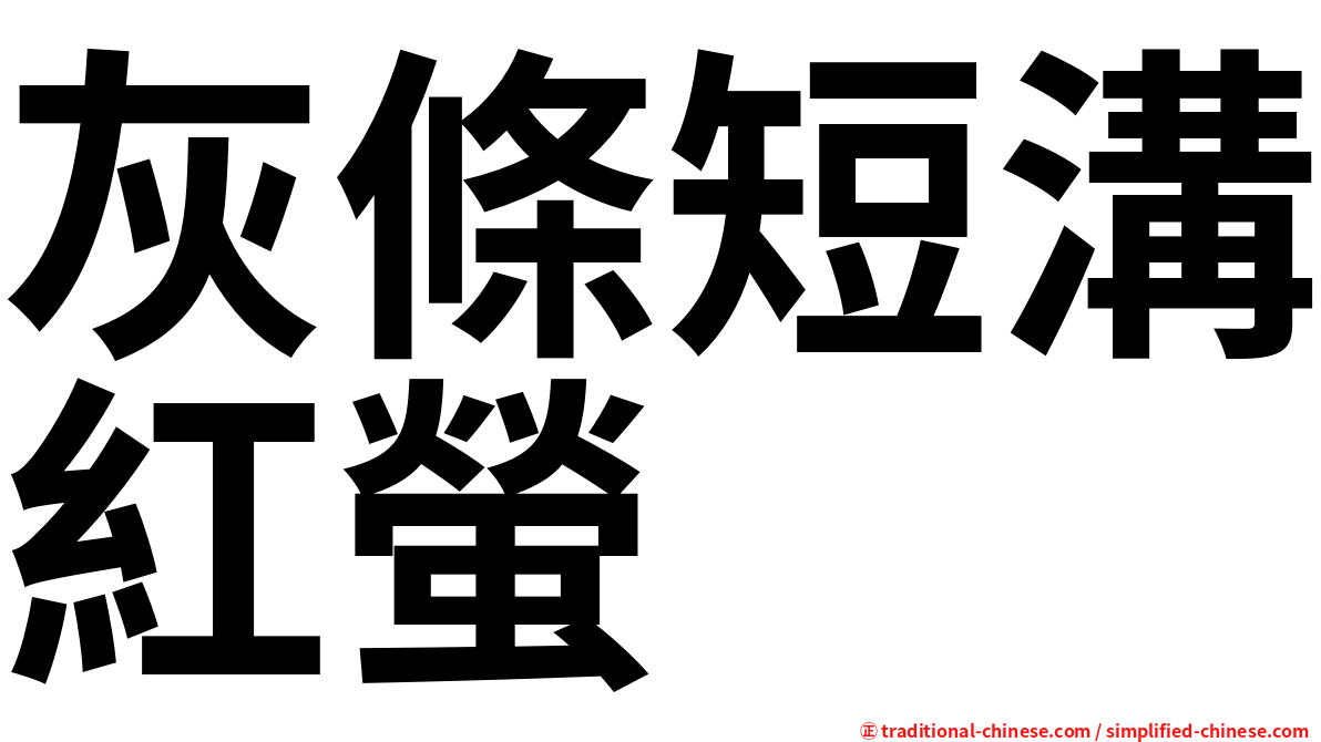 灰條短溝紅螢