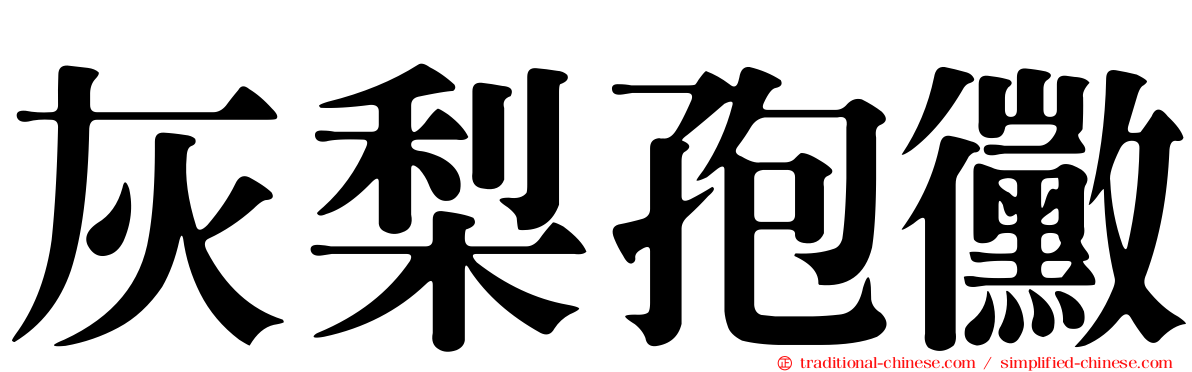 灰梨孢黴
