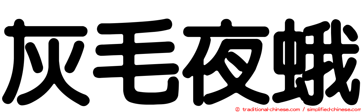 灰毛夜蛾