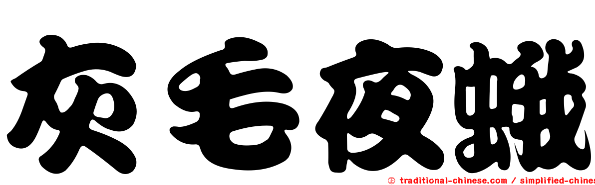 灰毛夜蛾