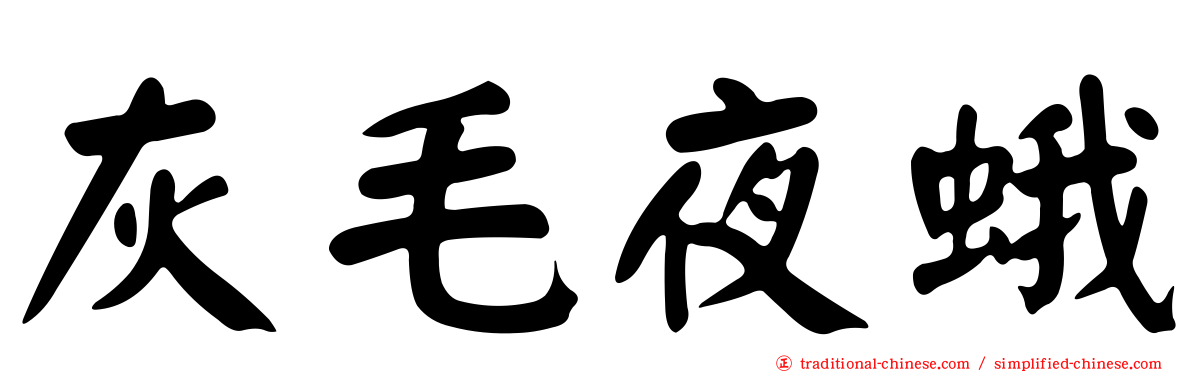 灰毛夜蛾