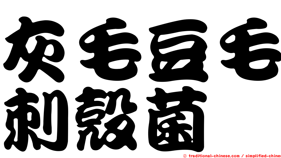 灰毛豆毛刺殼菌