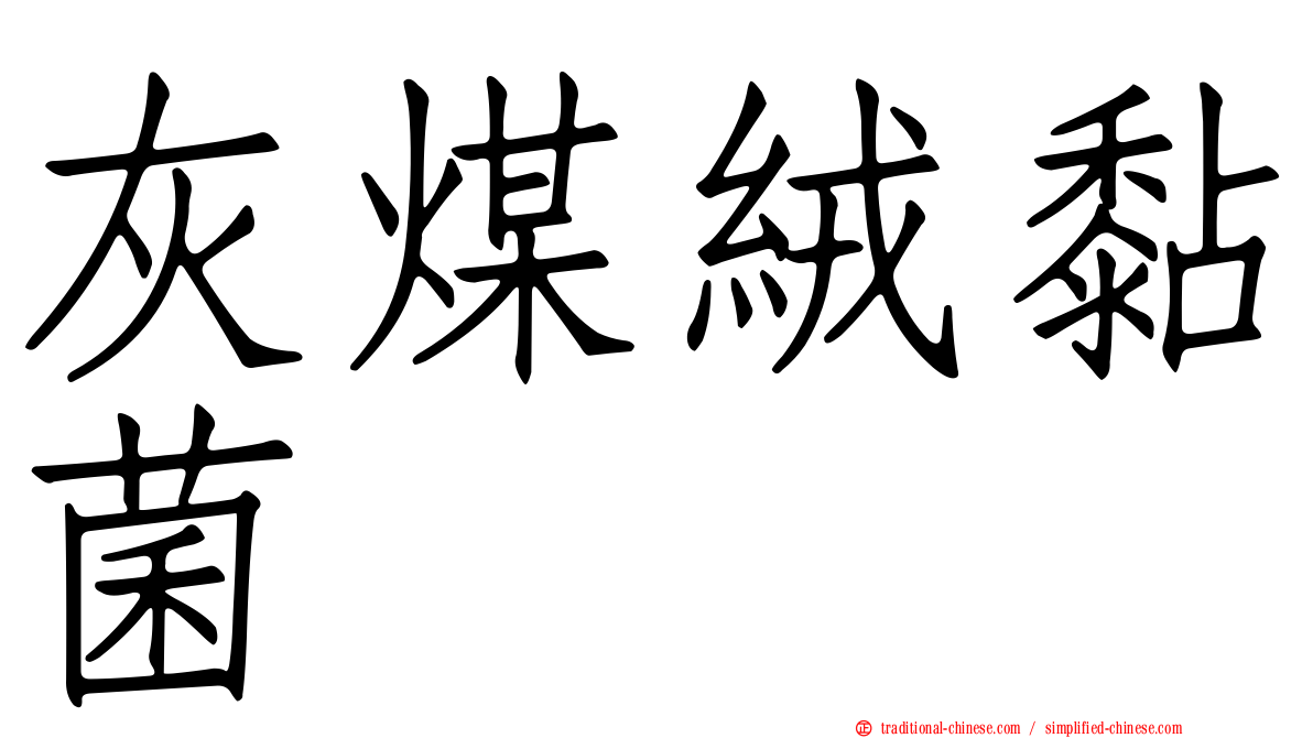 灰煤絨黏菌