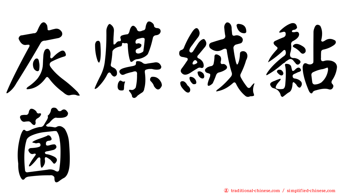 灰煤絨黏菌