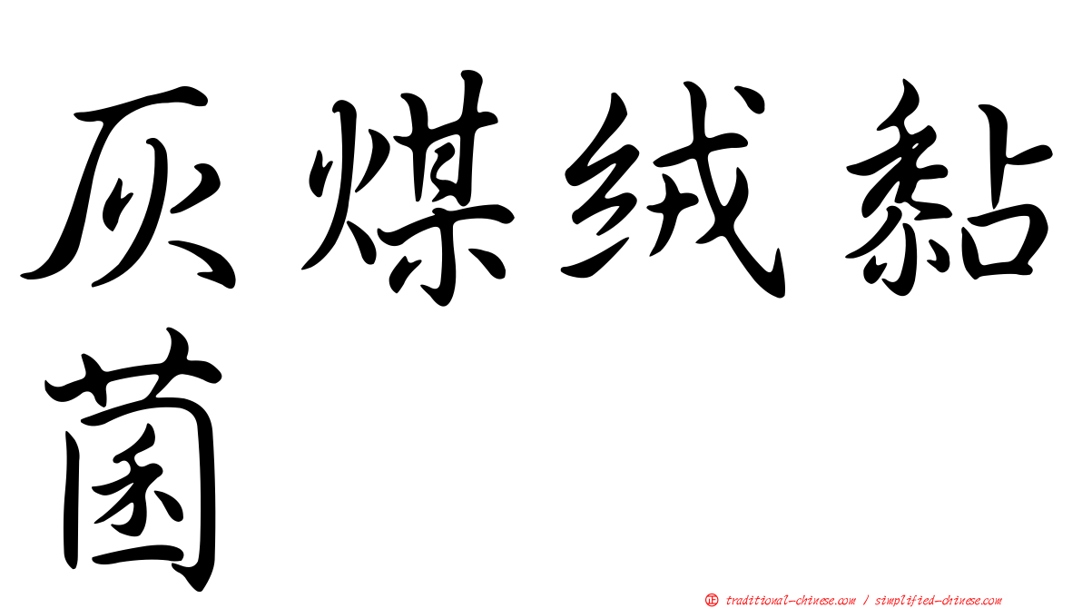 灰煤絨黏菌